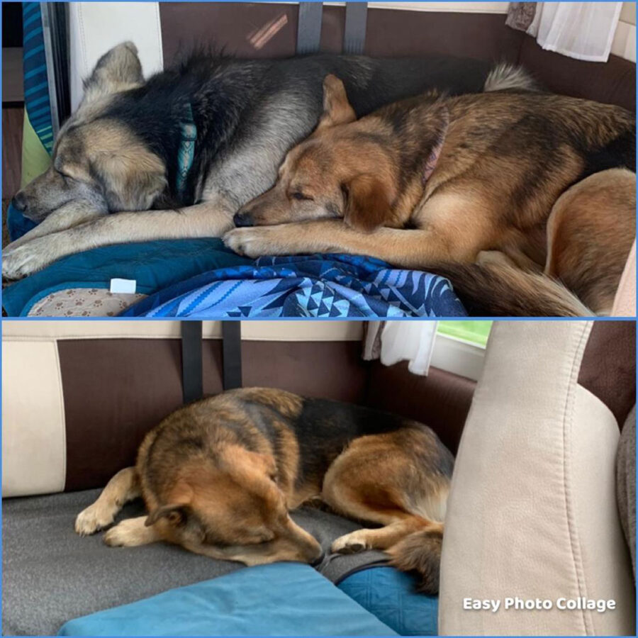 Lefty successfully squeezes Midnight out