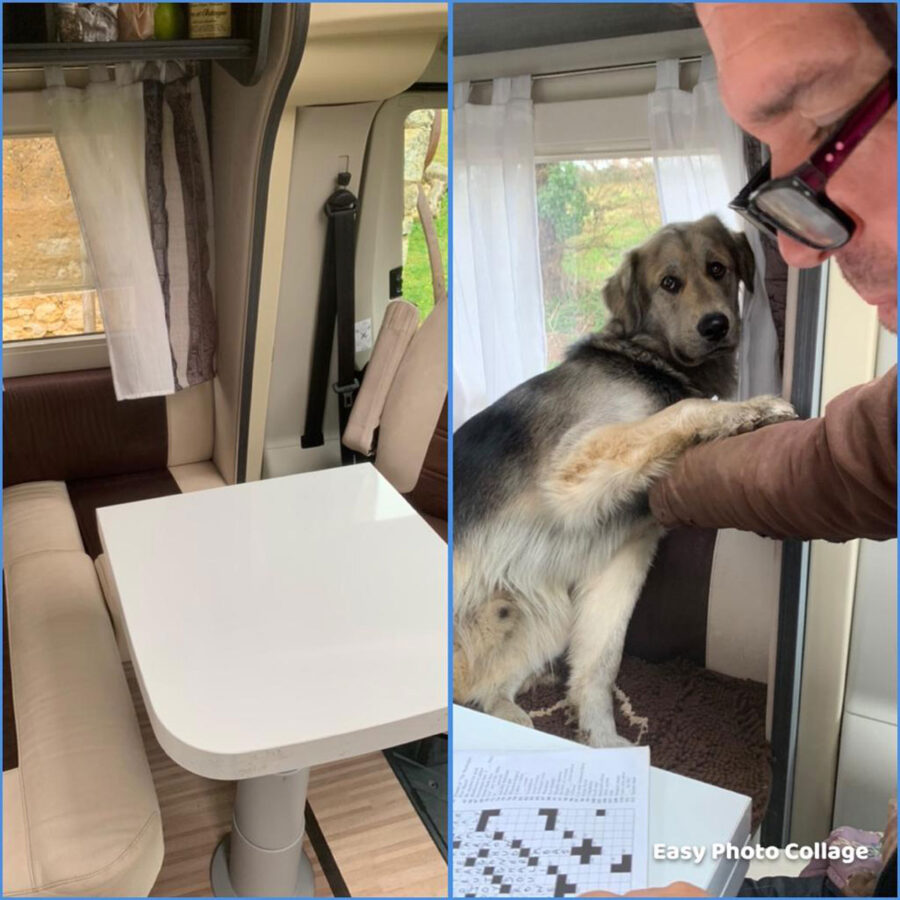 Midnight helps with the crossword puzzle