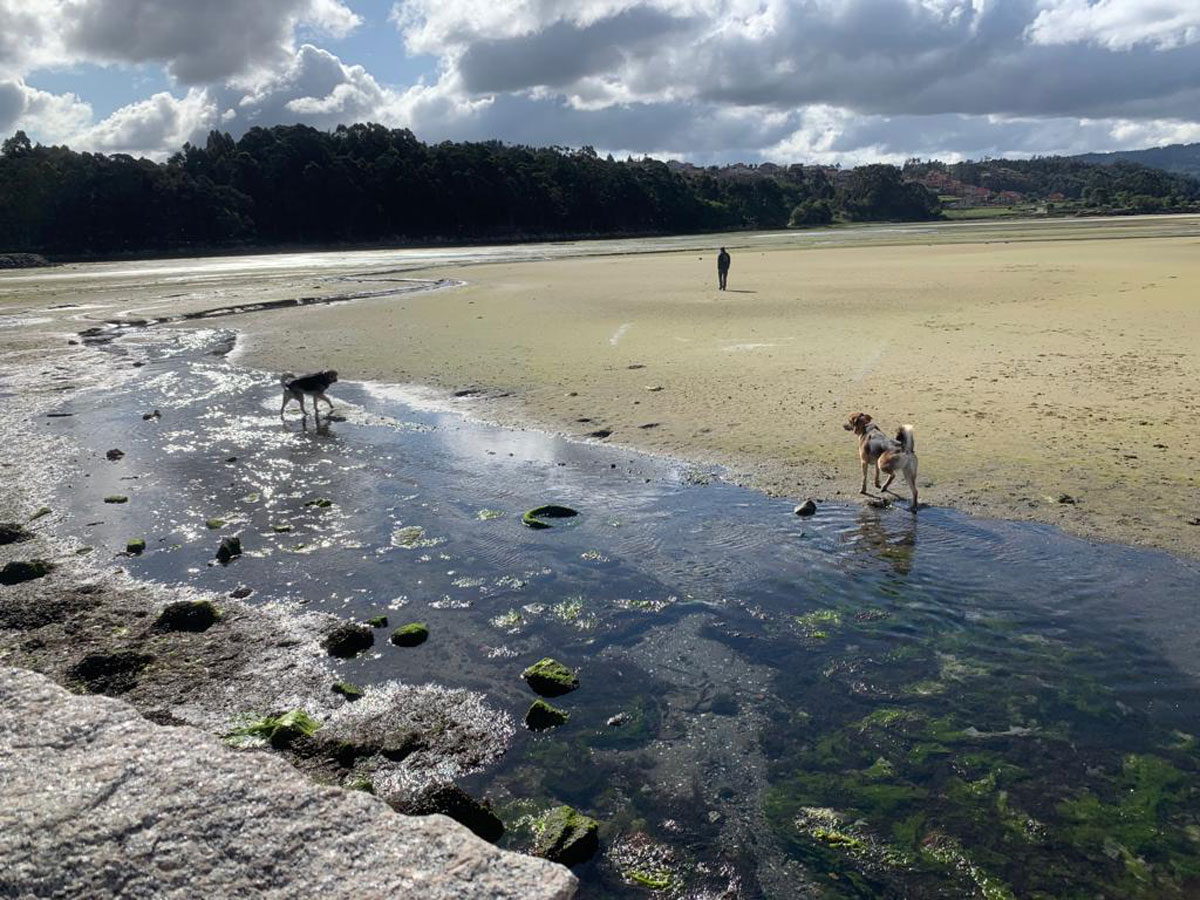 The dog days of motorhome life!