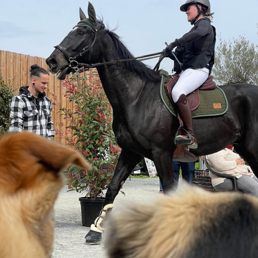 The Plan is No Plan!