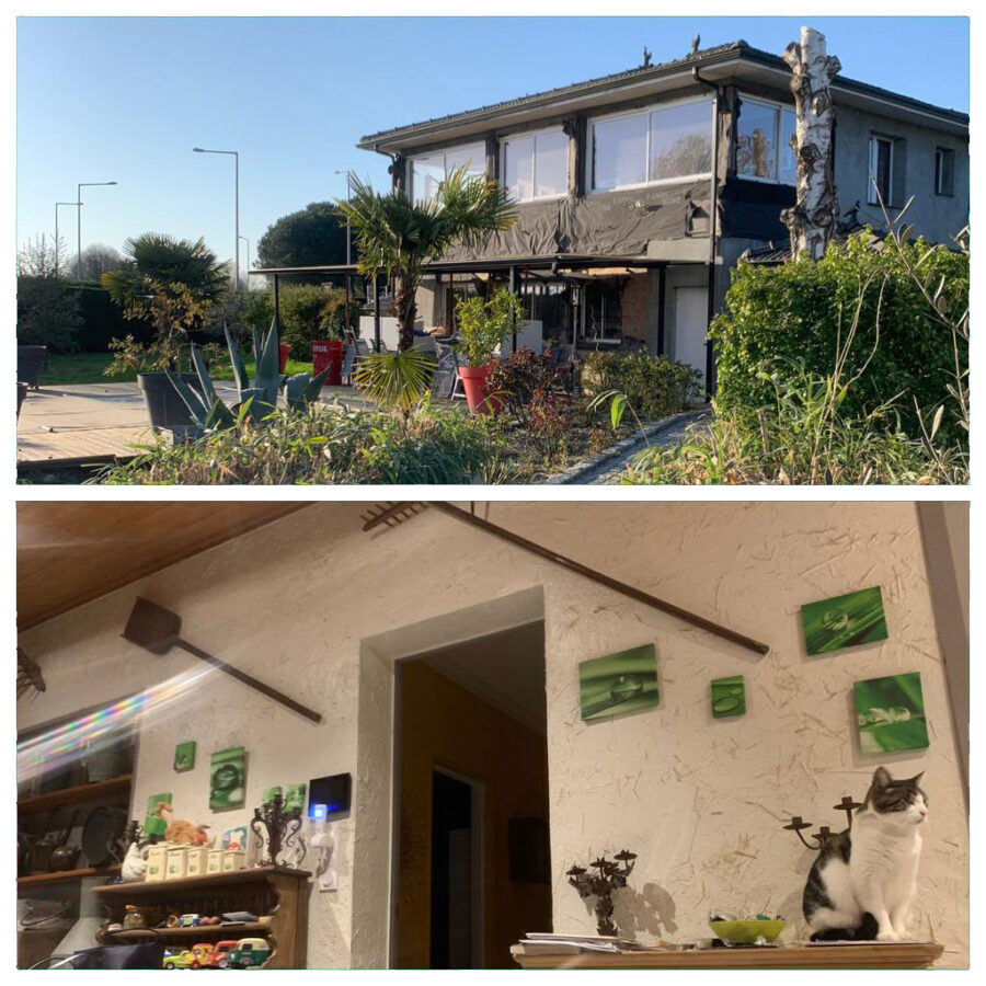 The house — zoom in to see the hay mixed into the plaster