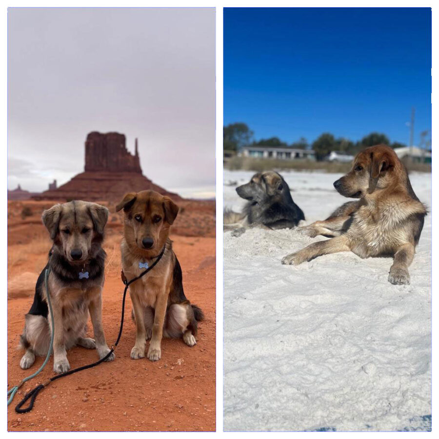 Who can resist these two?!