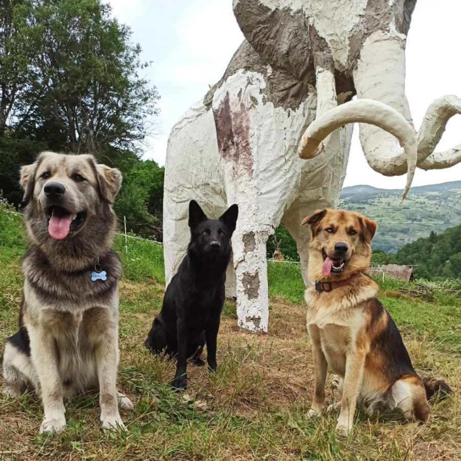 Time to Get to Work!