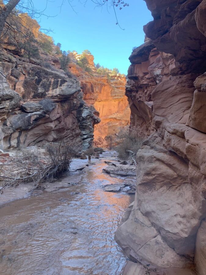 Canyon in Utah
