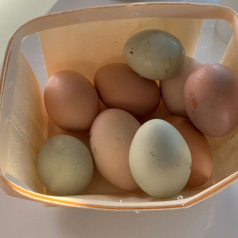farm-fresh-eggs
