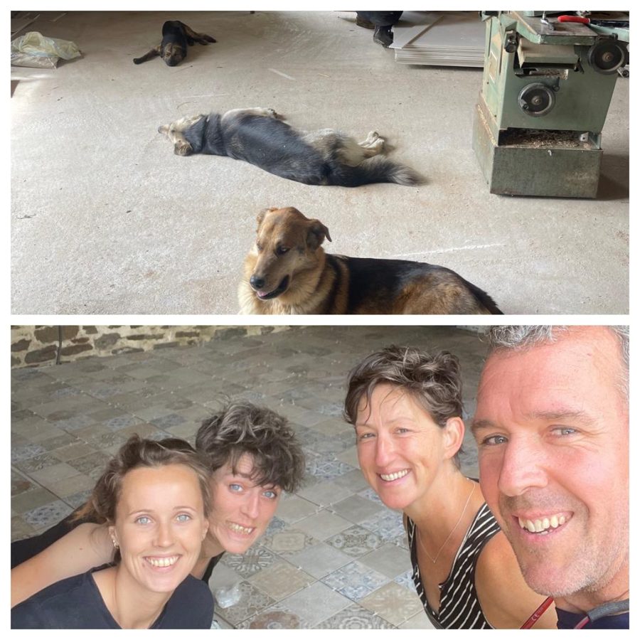 From doggy nap space to fancy tiled floor. And NO, it’s not easy figuring out a pattern in which no two identical tiles are touching!