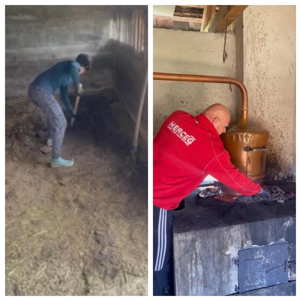 Shovelling sheep 💩 and making Rakija- all in a days work!